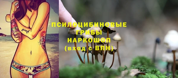 гидра Карталы