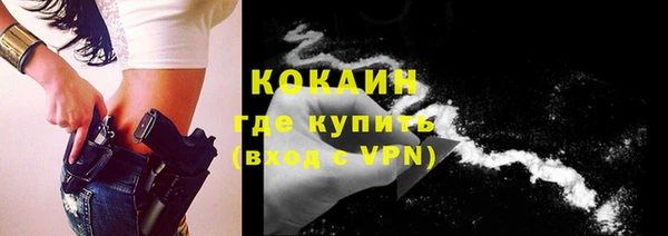 гидра Карталы