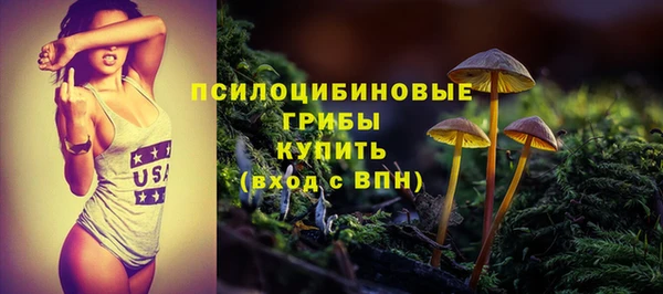 гидра Карталы