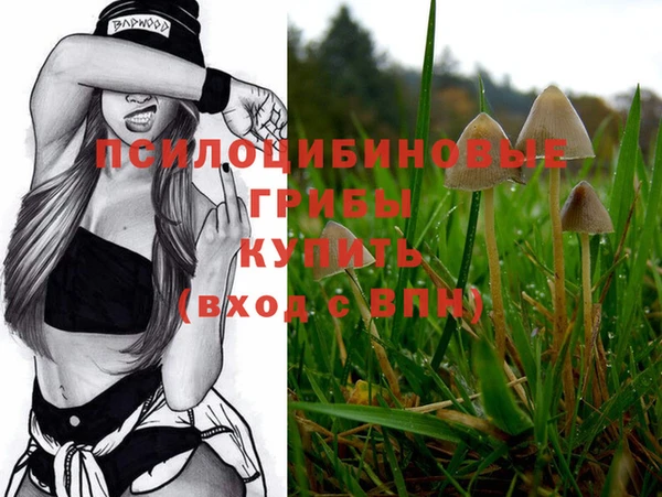 мяу мяу мука Карпинск