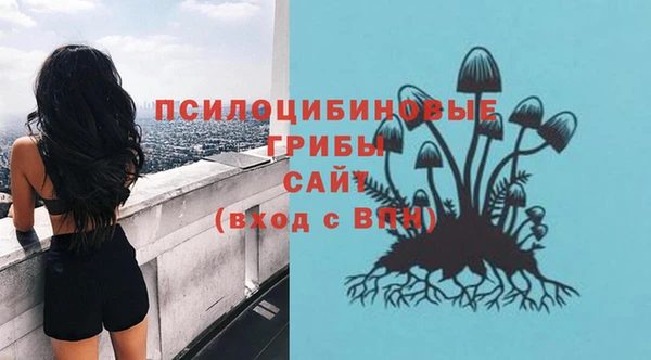 гидра Карталы