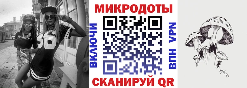 Купить Красный Кут Псилоцибиновые грибы GOLDEN TEACHER